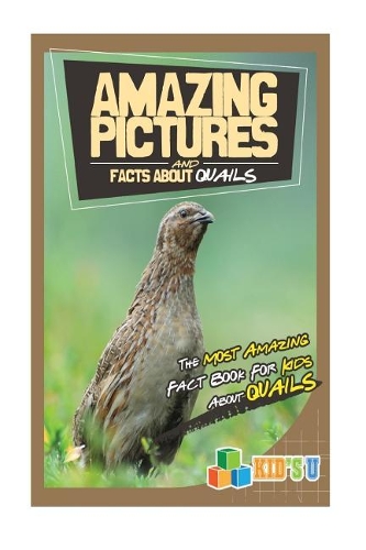 Amazing Pictures and Facts about Quails