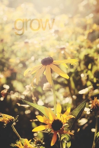 Grow
