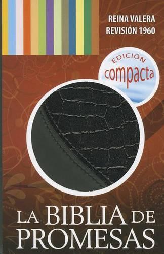 La Santa Biblia Edicion de Promesas-Rvr 1960