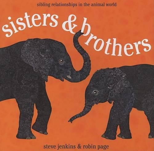 Sisters & Brothers