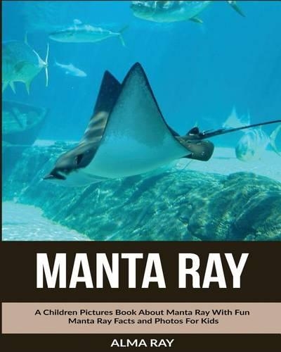 Manta Ray