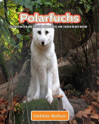 Polarfuchs