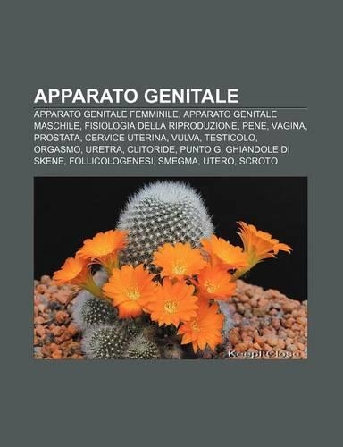 Apparato Genitale
