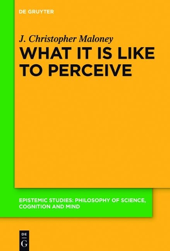 What It Is Like to Perceive