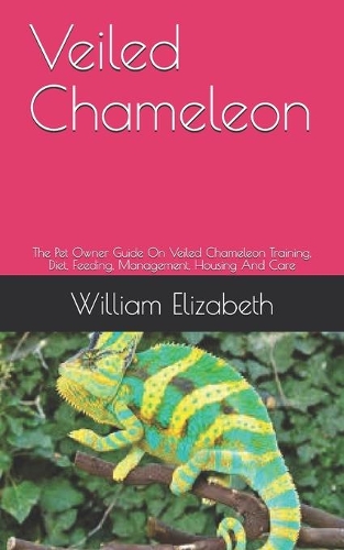 Veiled Chameleon