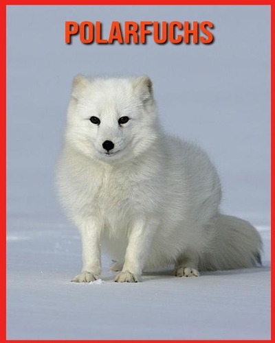 Polarfuchs