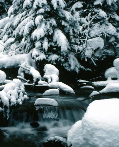 Winter Theme School Composition Book Breathtaking Scene 130 Pages