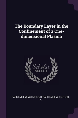 The Boundary Layer in the Confinement of a One-dimensional Plasma