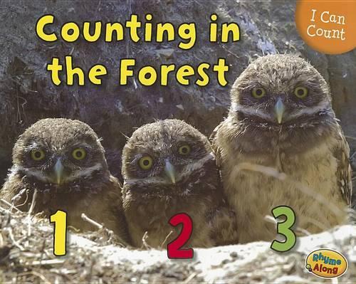 I Can Count Counting in the Forest