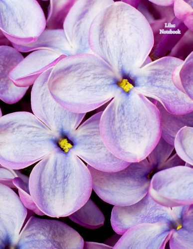 Lilac Notebook