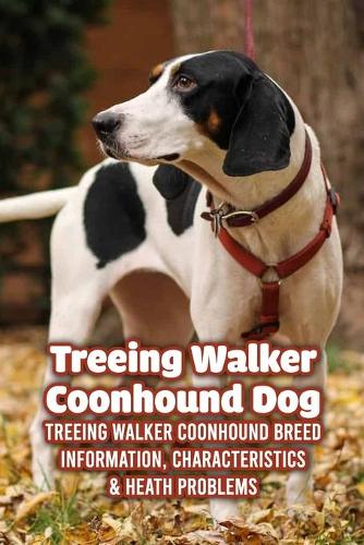 Treeing Walker Coonhound Dog
