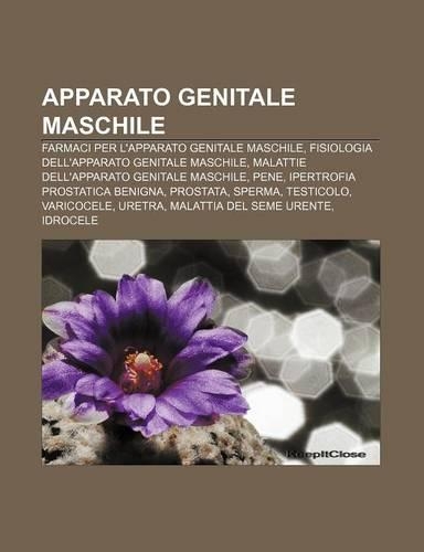 Apparato Genitale Maschile