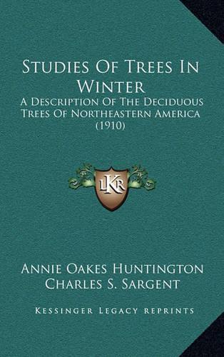 Studies Of Trees In Winter