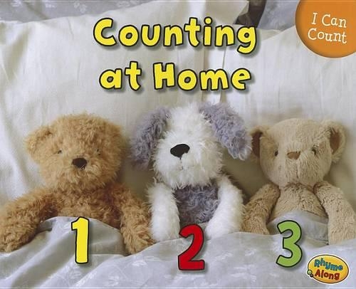 I Can Count Counting at Home