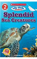 Icky Sticky Readers Splendid Sea Creatures - Scholastic  Reader Level