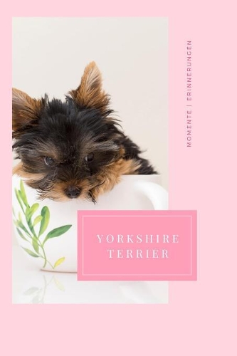 Yorkshire Terrier Momente Erinnerungen