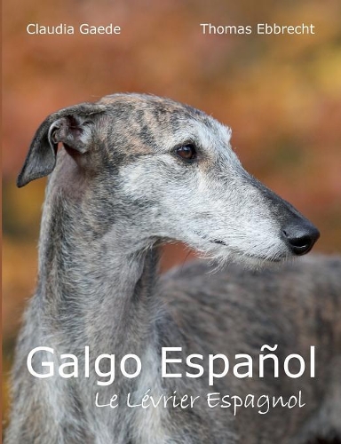 Galgo Español
