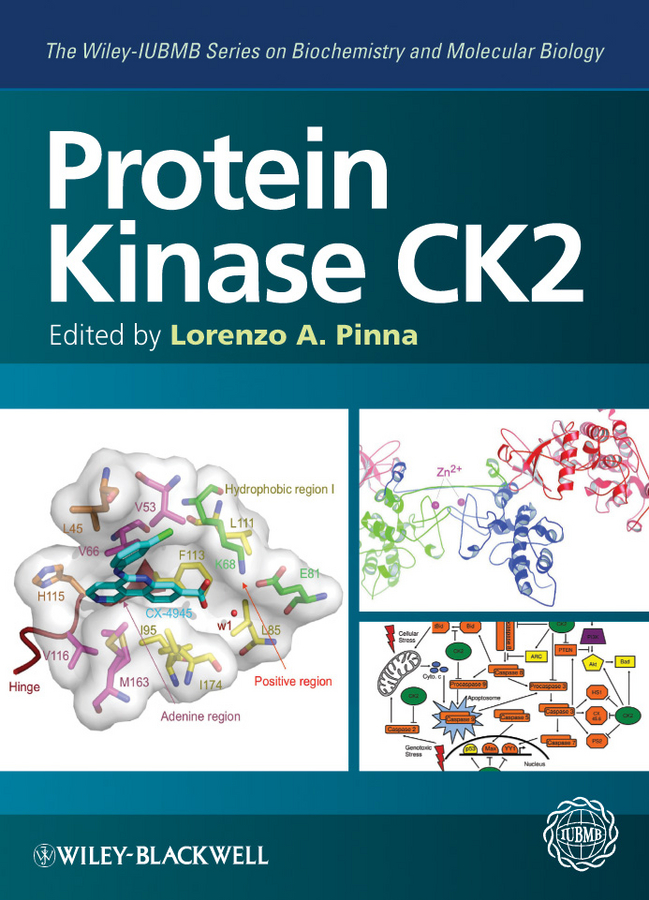 Protein Kinase CK2: (The Wiley-IUBMB Series on Biochemistry and Molecular Biology)