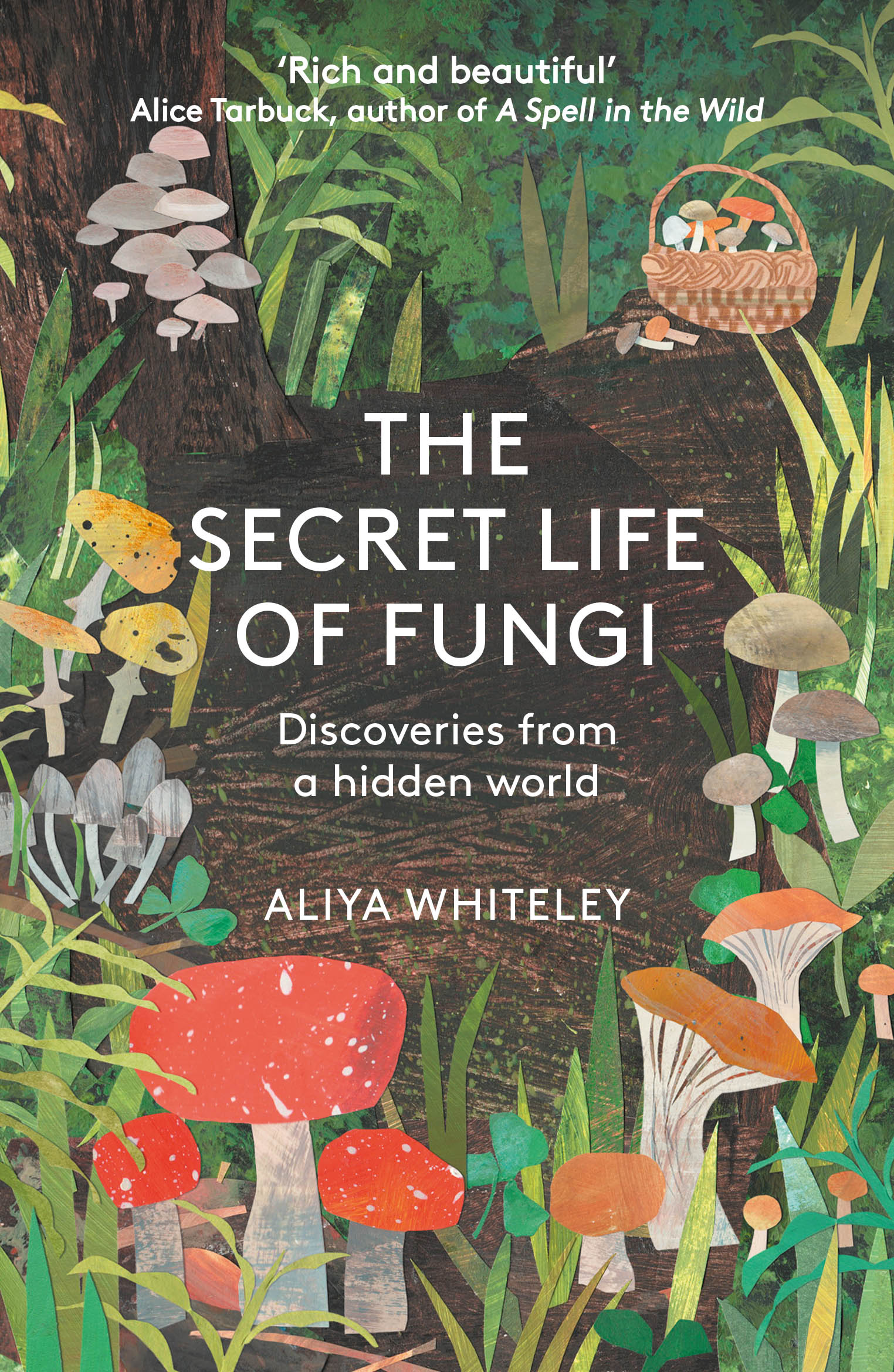 The Secret Life of Fungi: Discoveries From a Hidden World