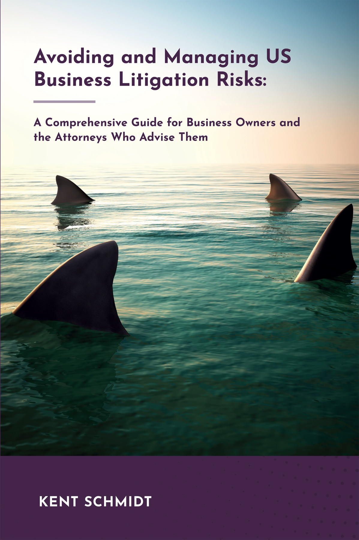 Avoiding and Managing Us Business Litigation Risks: A Comprehensive Guide for Business Owners and the Attorneys Who Advise Them