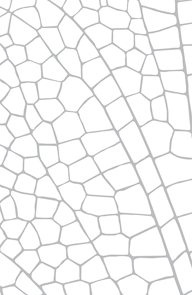 Fairyland: (Gollancz S.F.)