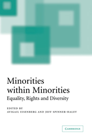 Minorities within Minorities: Equality, Rights and Diversity(English)