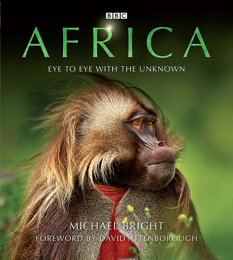 Volgarizzamento Delle Vite de' Santi Padri Di Fra Domenico Cavalca: Testo Di Lingua, Volume 1(Italian)