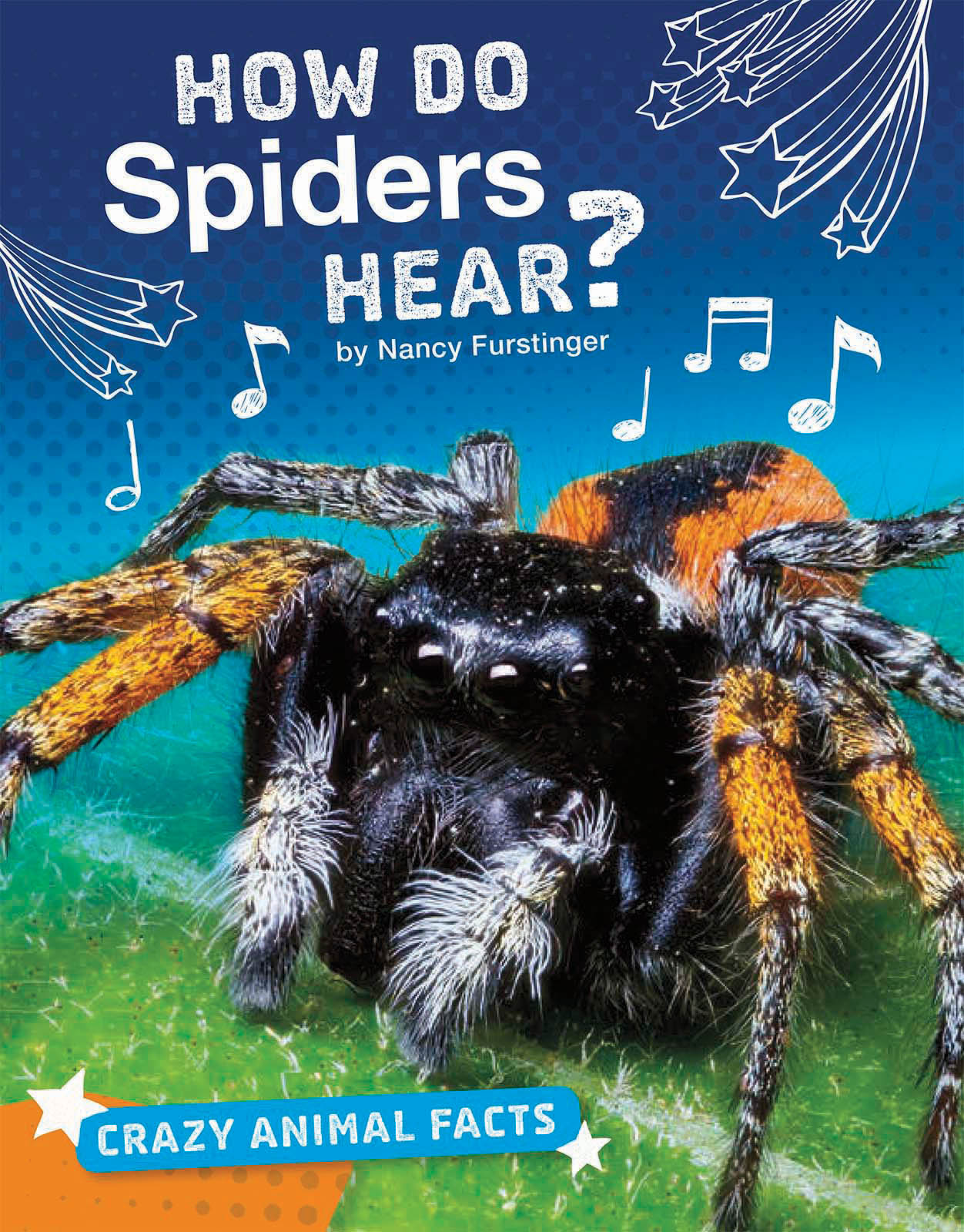 How Do Spiders Hear?: (Crazy Animal Facts)