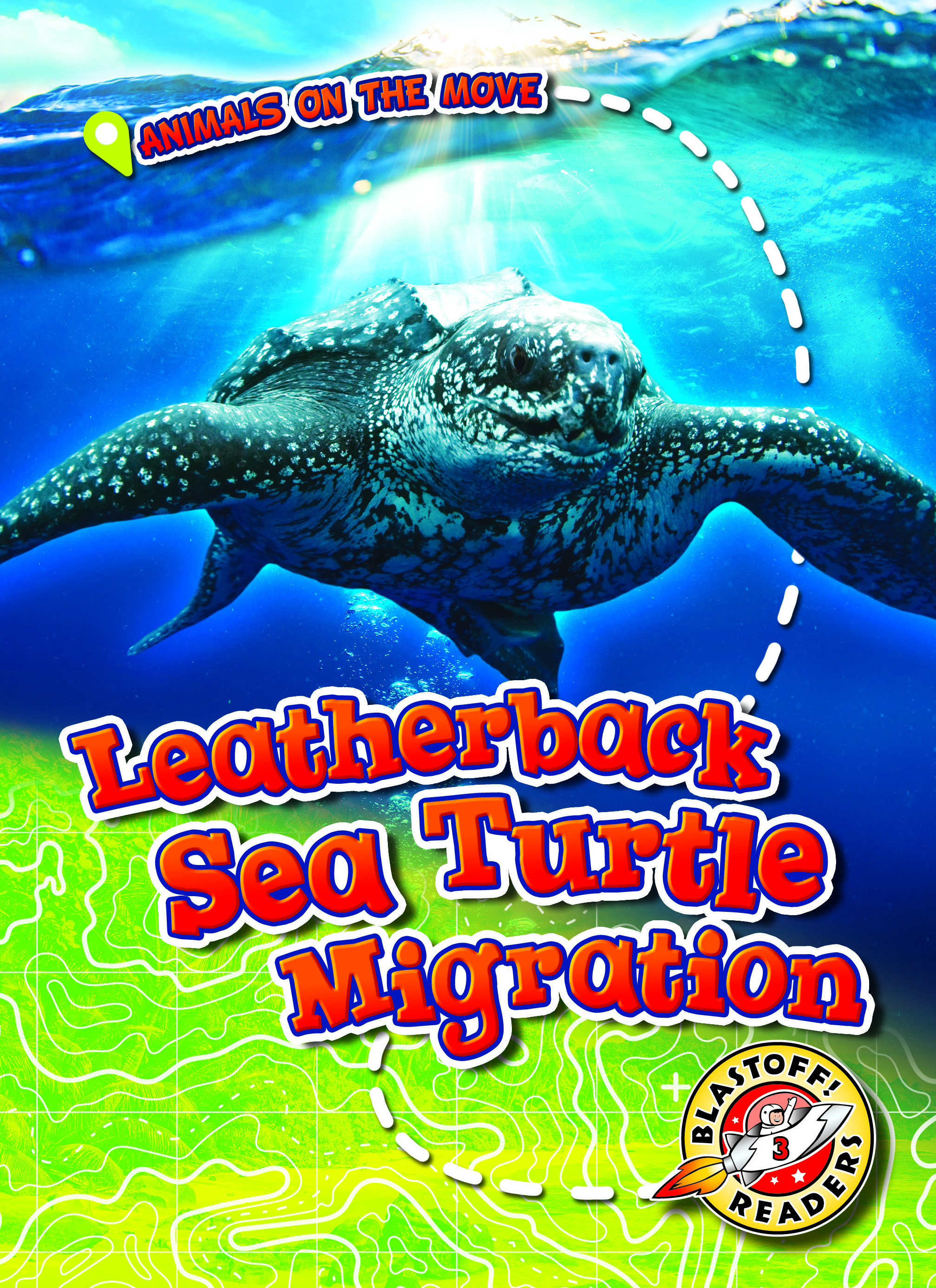Leatherback Sea Turtle Migration: (Animals on the Move)