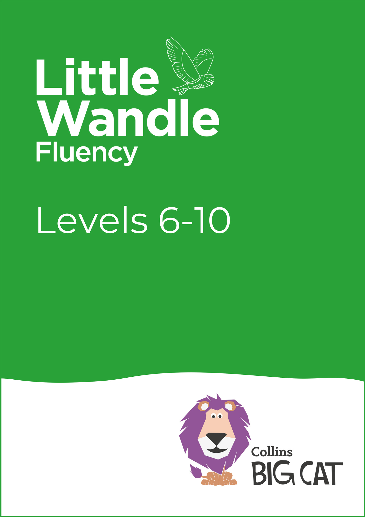 Fluency Level 6-10 Set: (Big Cat for Little Wandle Fluency Sets)