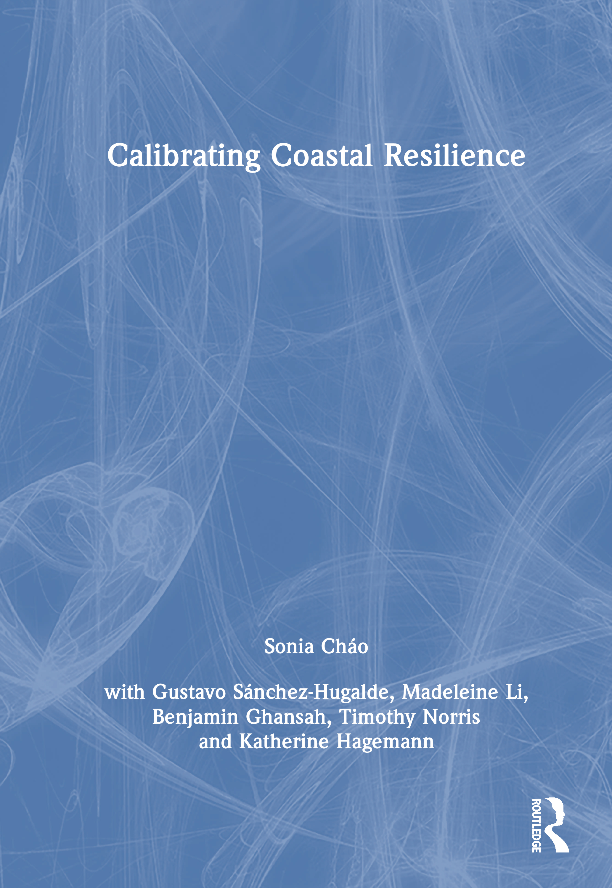 Calibrating Coastal Resilience
