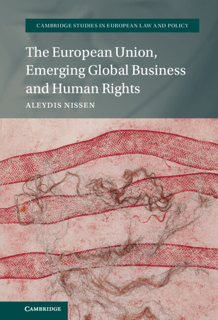 The European Union, Emerging Global Business and Human Rights: (Cambridge Studies in European Law and Policy)