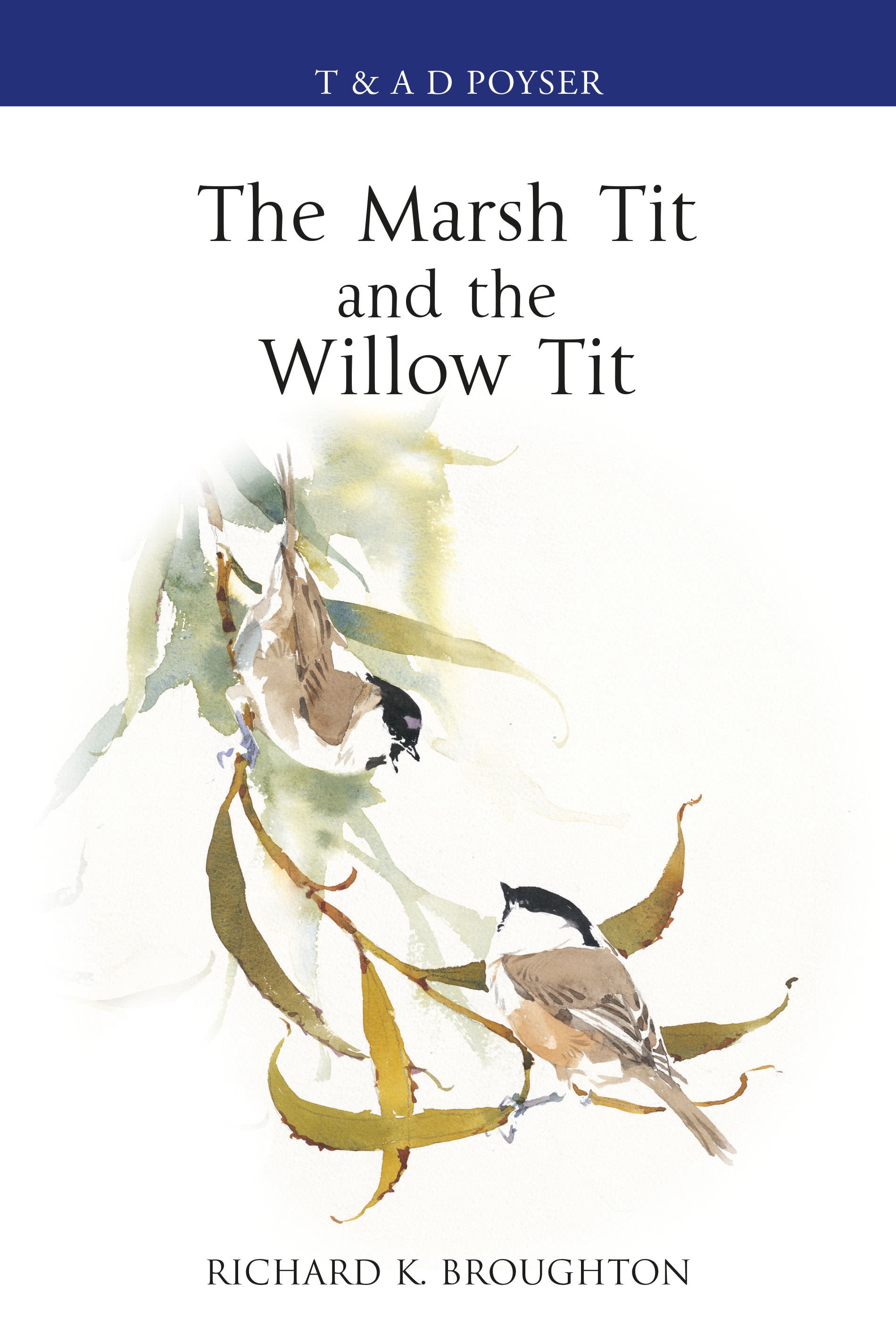 The Marsh Tit and The Willow Tit: (Poyser Monographs)