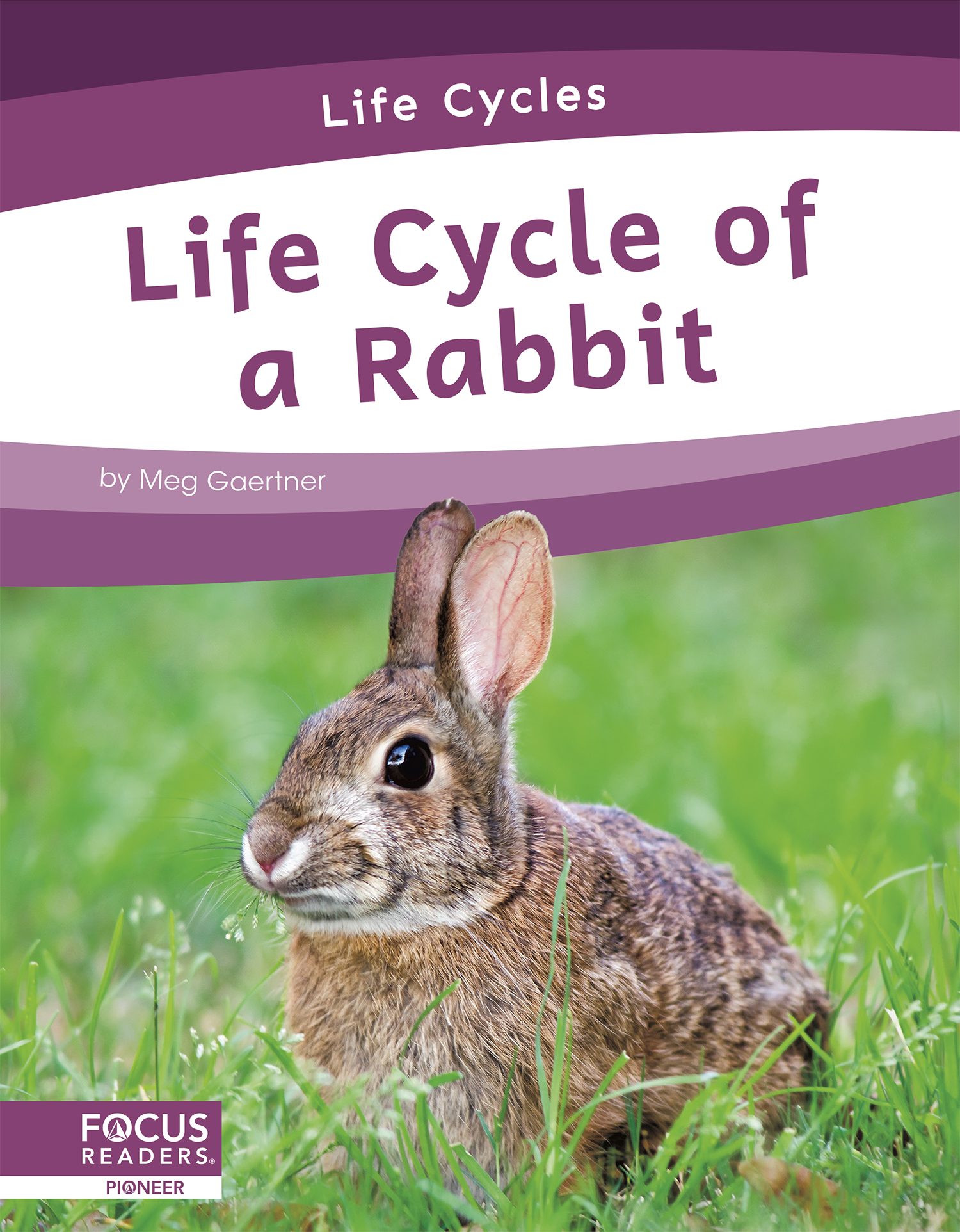 Life Cycle of a Rabbit: (Life Cycles)