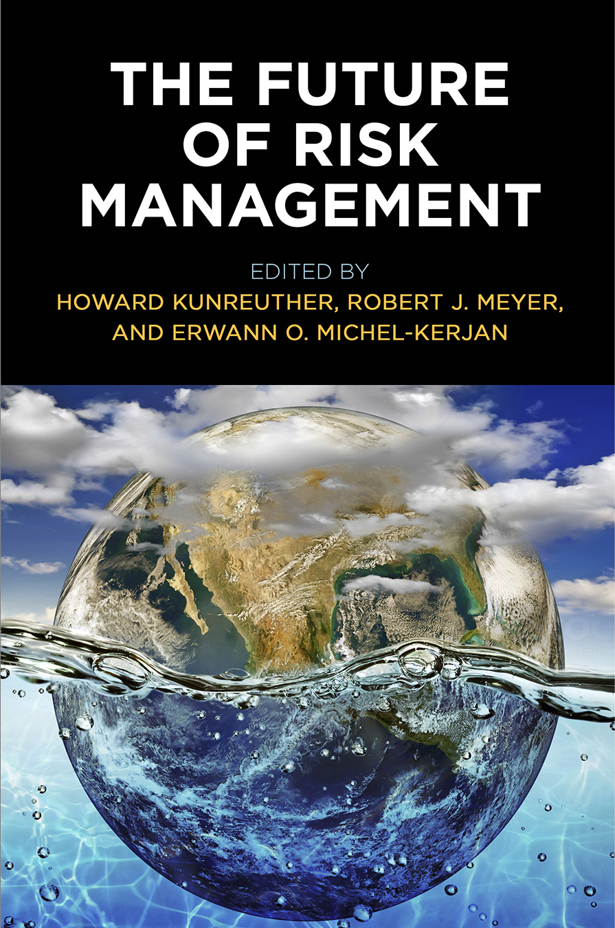 The Future of Risk Management: (Critical Studies in Risk and Disaster)
