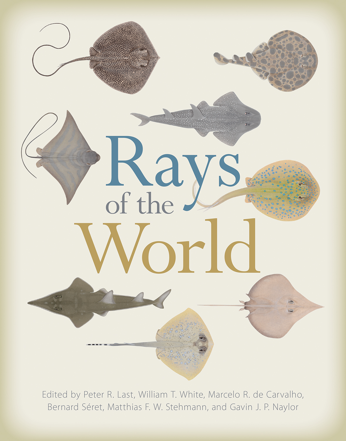Rays of the World: (English)