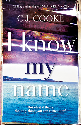 Museums in Pensacola, Florida: National Museum of Naval Aviation, Historic Pensacola Village, T. T. Wentworth, JR. Florida State Museum(English)