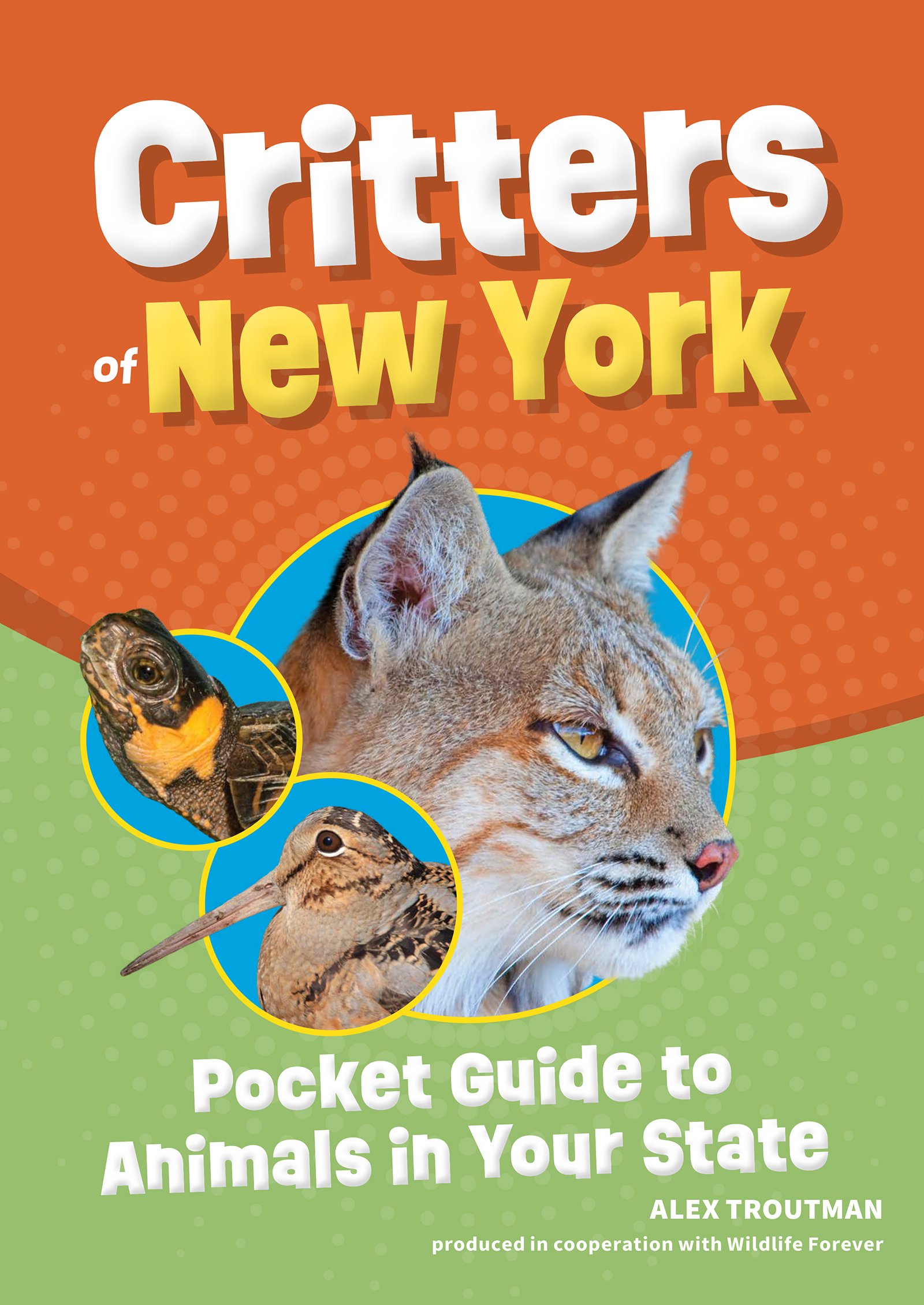 Critters of New York: Pocket Guide to Animals in Your State(Wildlife Pocket Guides for Kids)