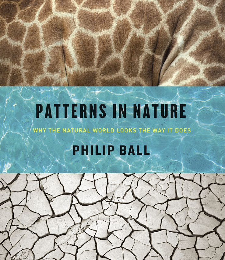 Patterns in Nature: Why the Natural World Looks the Way it Does(English)