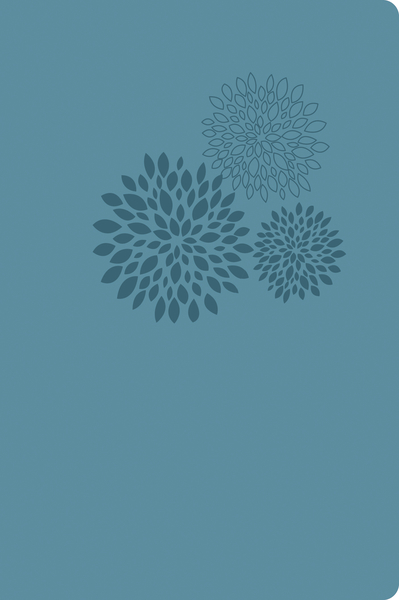 NKJV, Reference Bible, Personal Size, Giant Print, Leathersoft, Turquoise, Red Letter Edition: New King James Version, Turquoise, Leathersoft, Personal Size, Giant Print, Reference Edition(English)