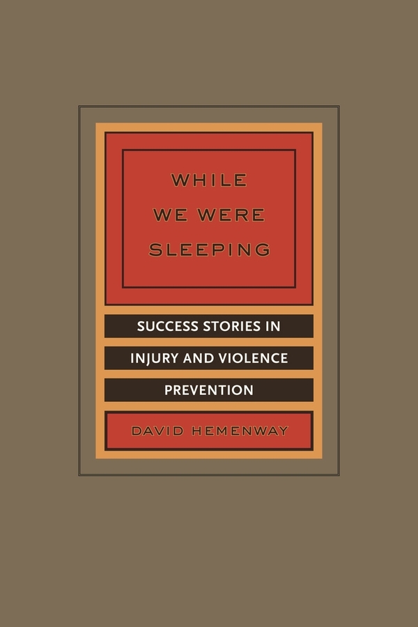 While We Were Sleeping: Success Stories in Injury and Violence Prevention(English)