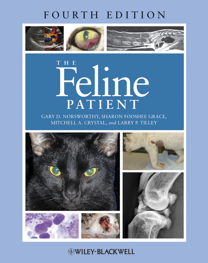 Feline Patient 4E