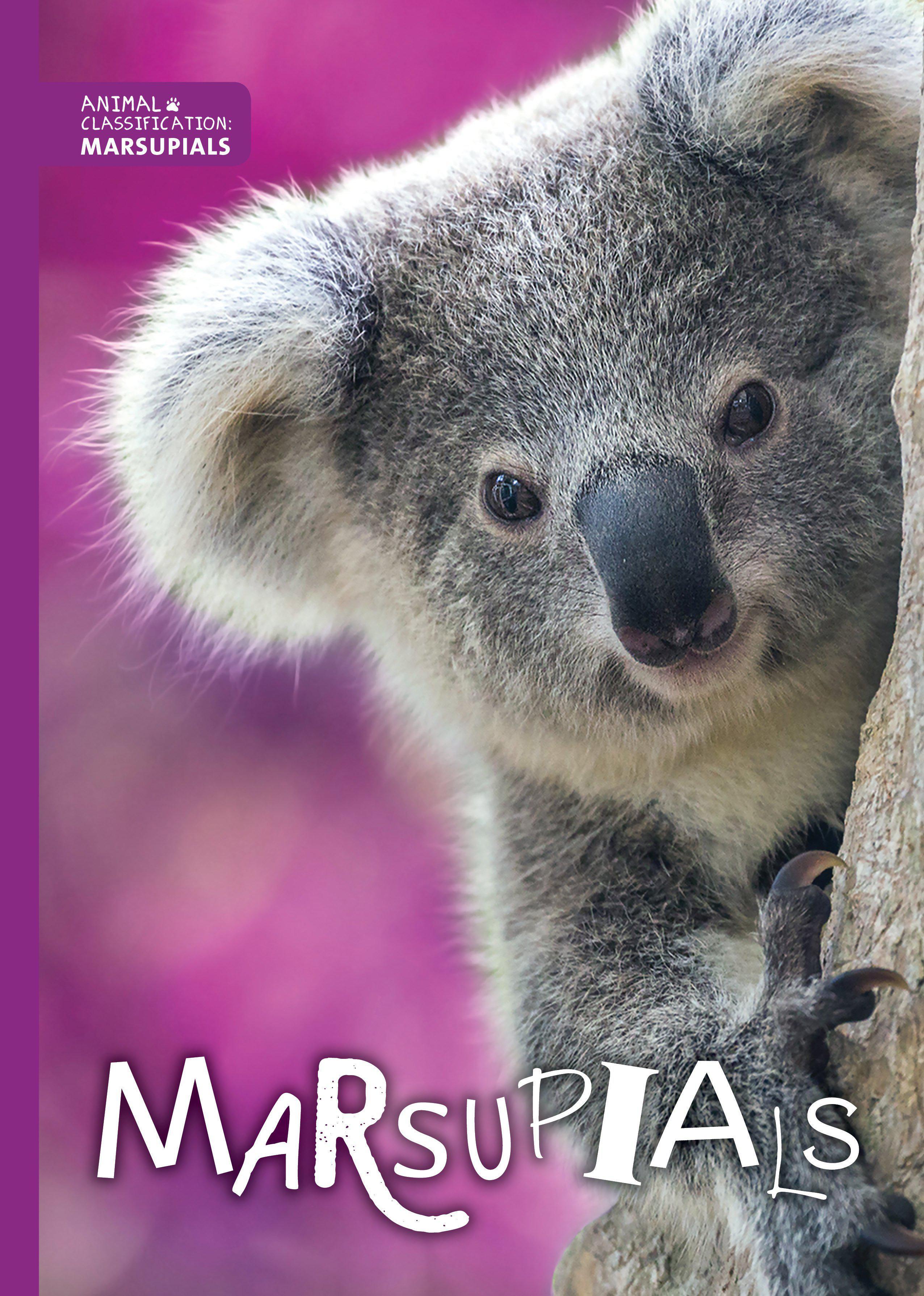 Marsupials: (Animal Classification)