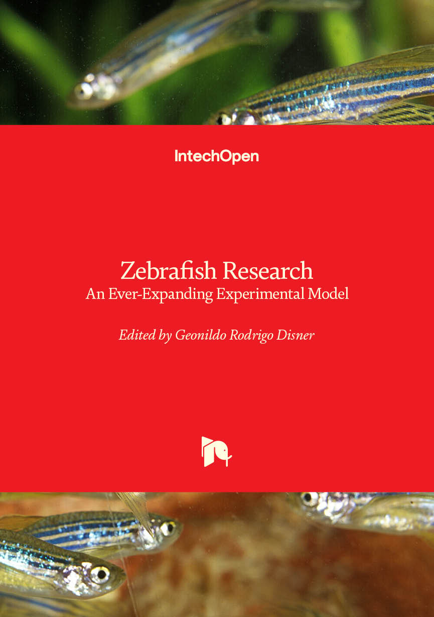 Terroristicheskie Organizatsii Blizhnego Vostoka: Brat YA-Musul Mane, Nfop, Organizatsiya Osvobozhdeniya Palestiny(Russian)