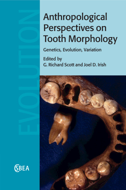 Anthropological Perspectives on Tooth Morphology: Genetics, Evolution, Variation(Series Number 66 Cambridge Studies in Biological and Evolutionary Anthropology)