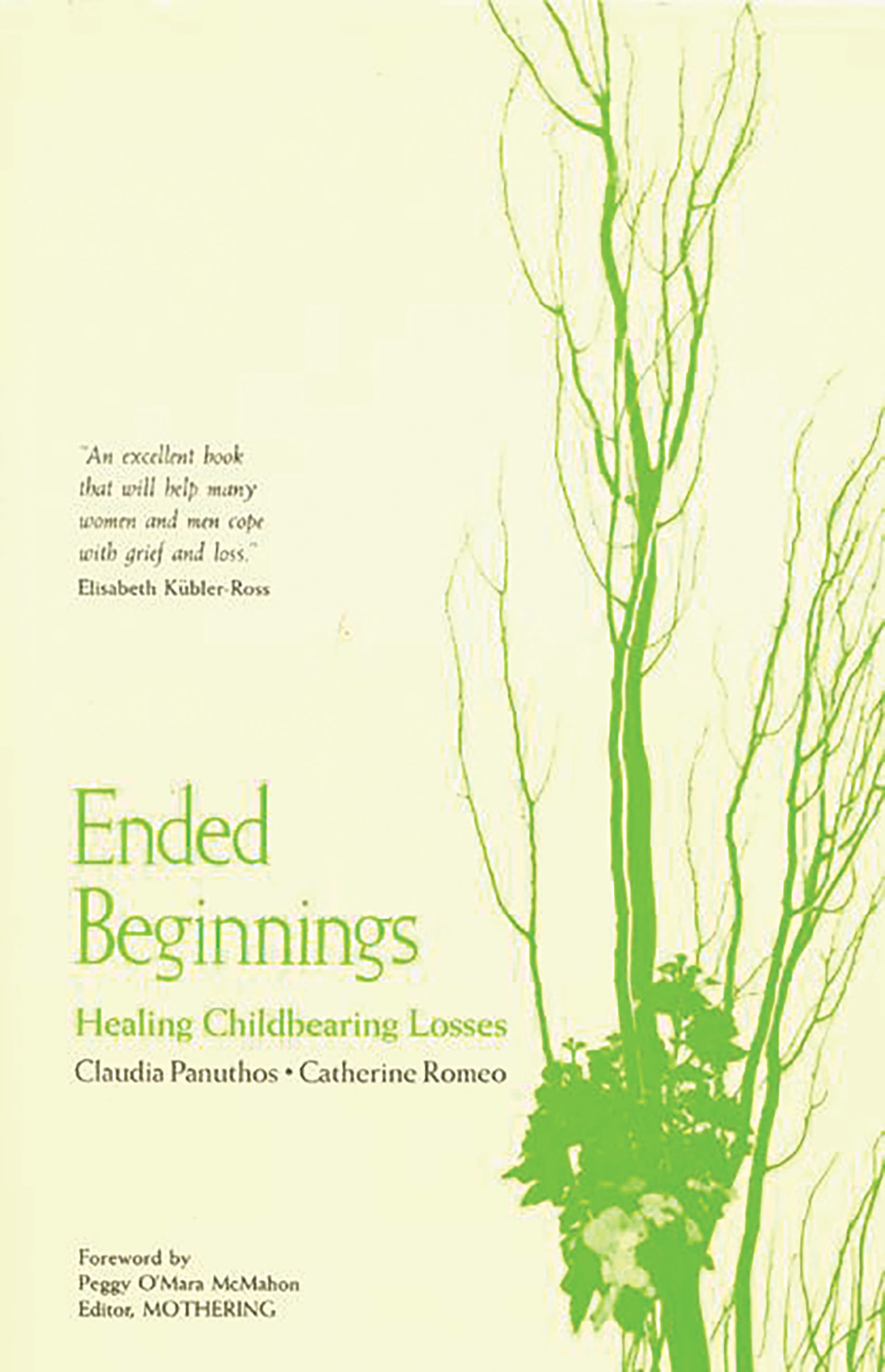 Ended Beginnings: Healing Childbearing Losses(Healing Childbearing Losses)
