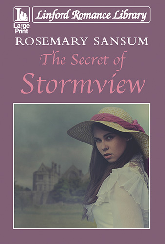 The Secret Of Stormview