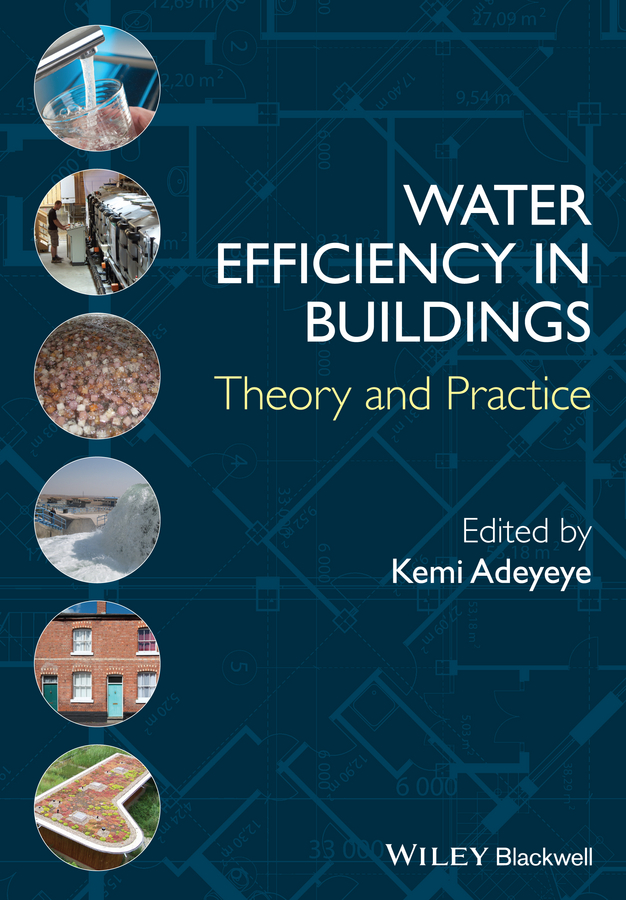 Water Efficiency in Buildings: Theory and Practice(English)