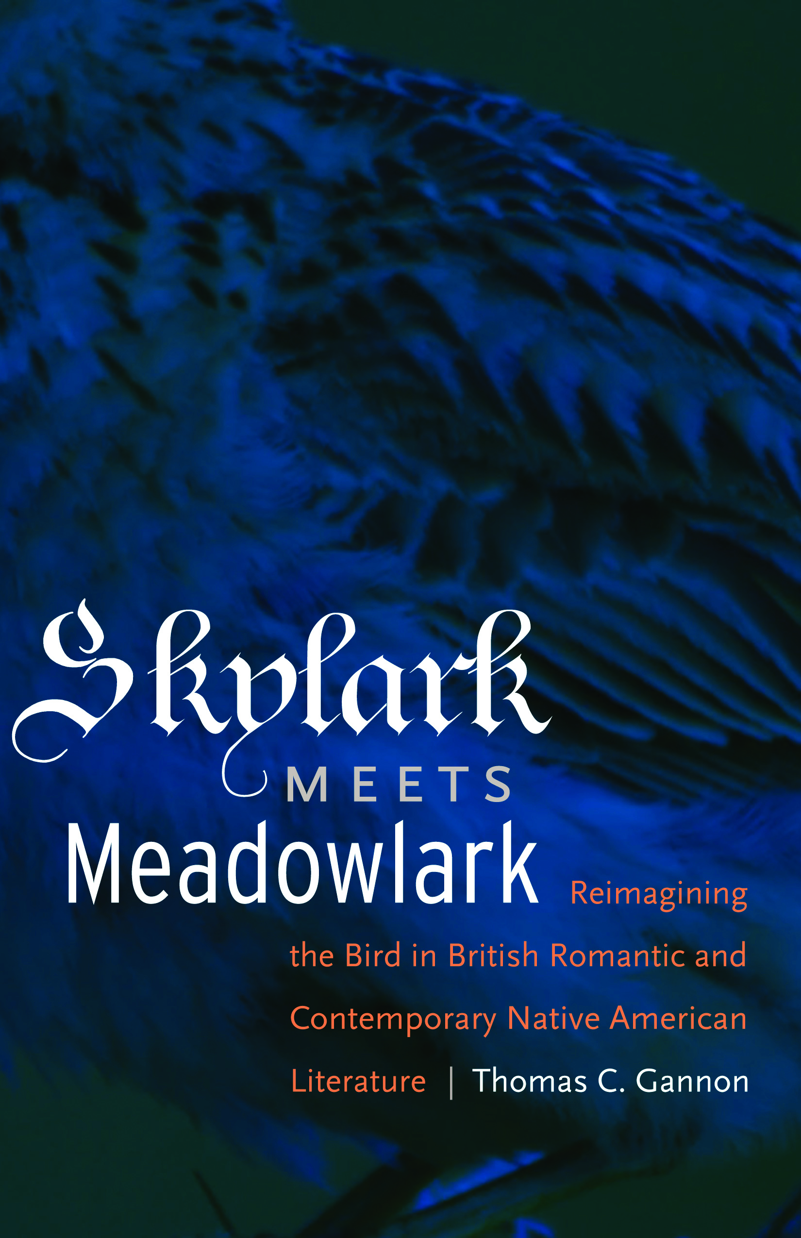 Skylark Meets Meadowlark: Reimagining the Bird in British Romantic and Contemporary Native American Literature(English)