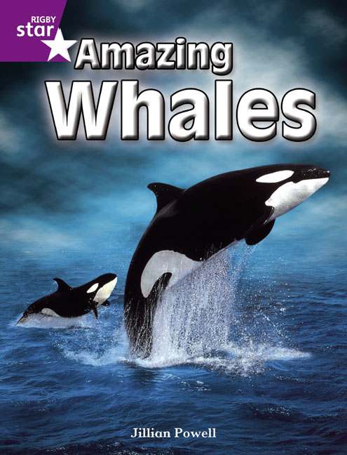 Rigby Star Independent Year 2 Purple Non Fiction: Amazing Whales Single: (STAR INDEPENDENT)